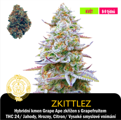 Zkittlez / Feminizováno