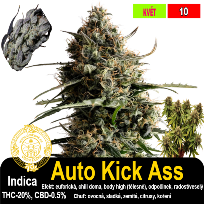 Auto Kick Ass / feminizovano - semena, : 10