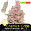 Chemical Bride / Feminizováno