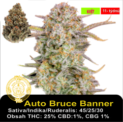 Auto Bruce Banner / Feminizováno