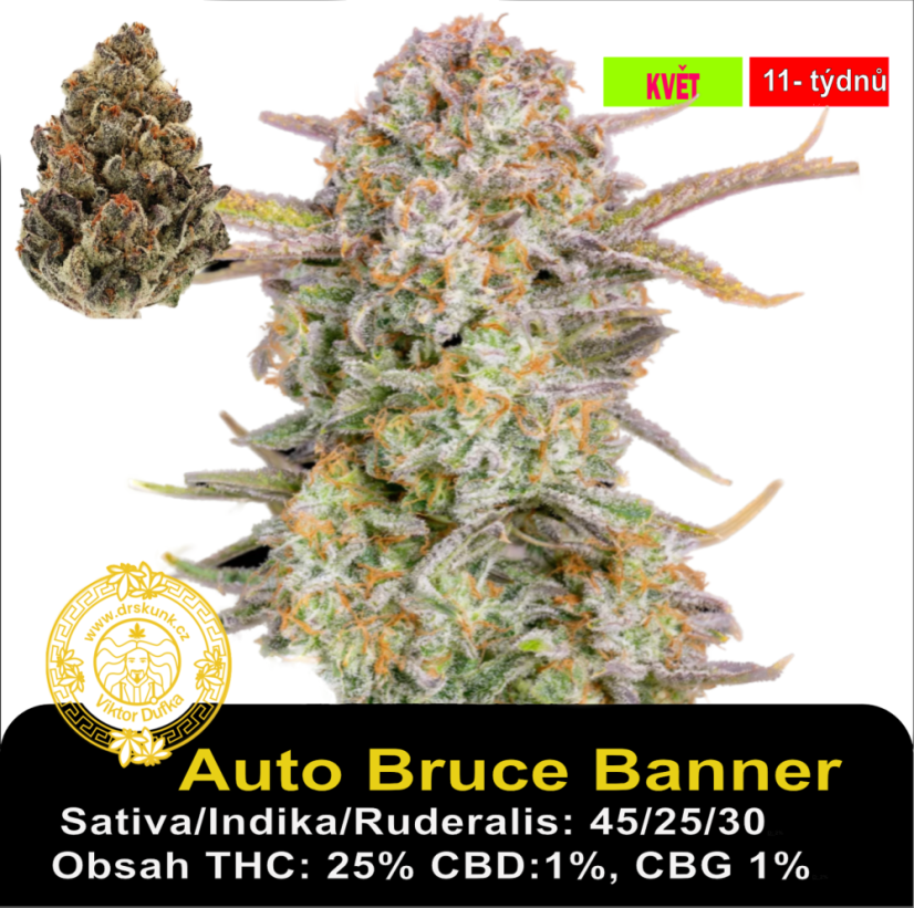Auto Bruce Banner / Feminizováno
