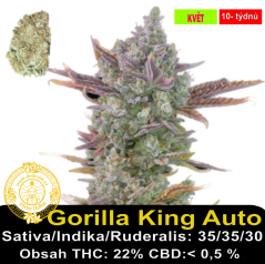 Gorilla King Auto / Feminizováno
