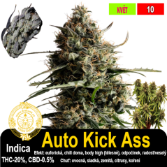 Auto Kick Ass / feminizovano