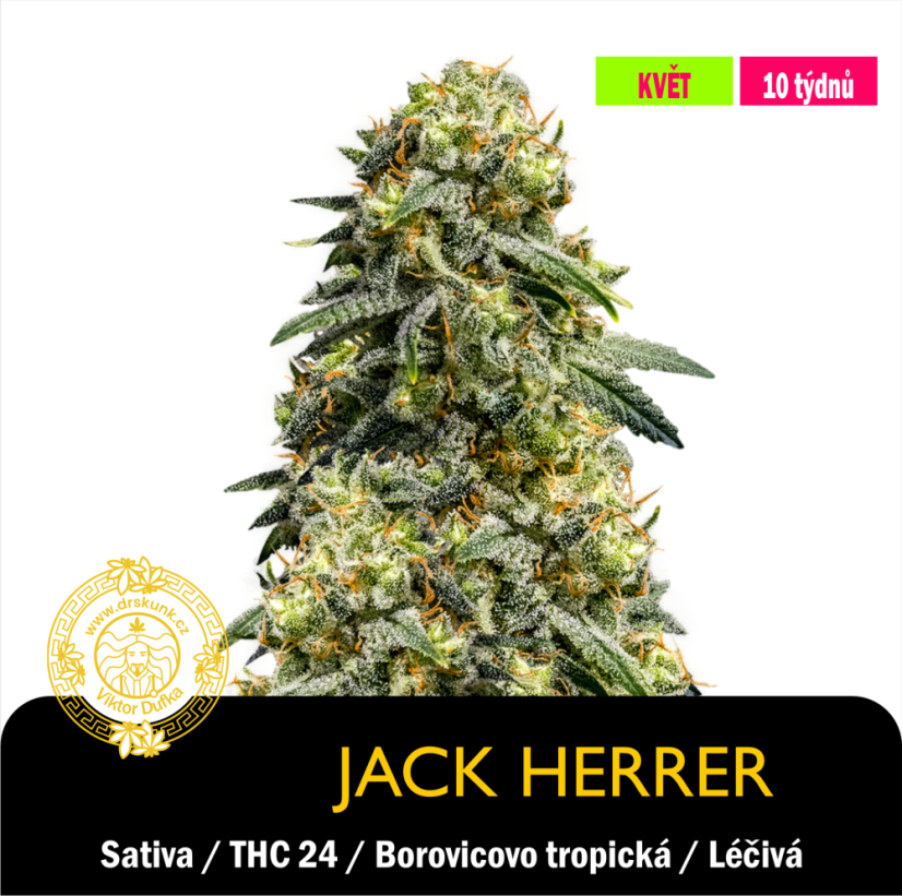 Jack Herer GHS / Feminizováno