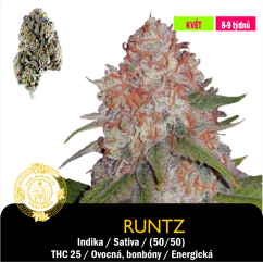 Runtz / Feminizováno