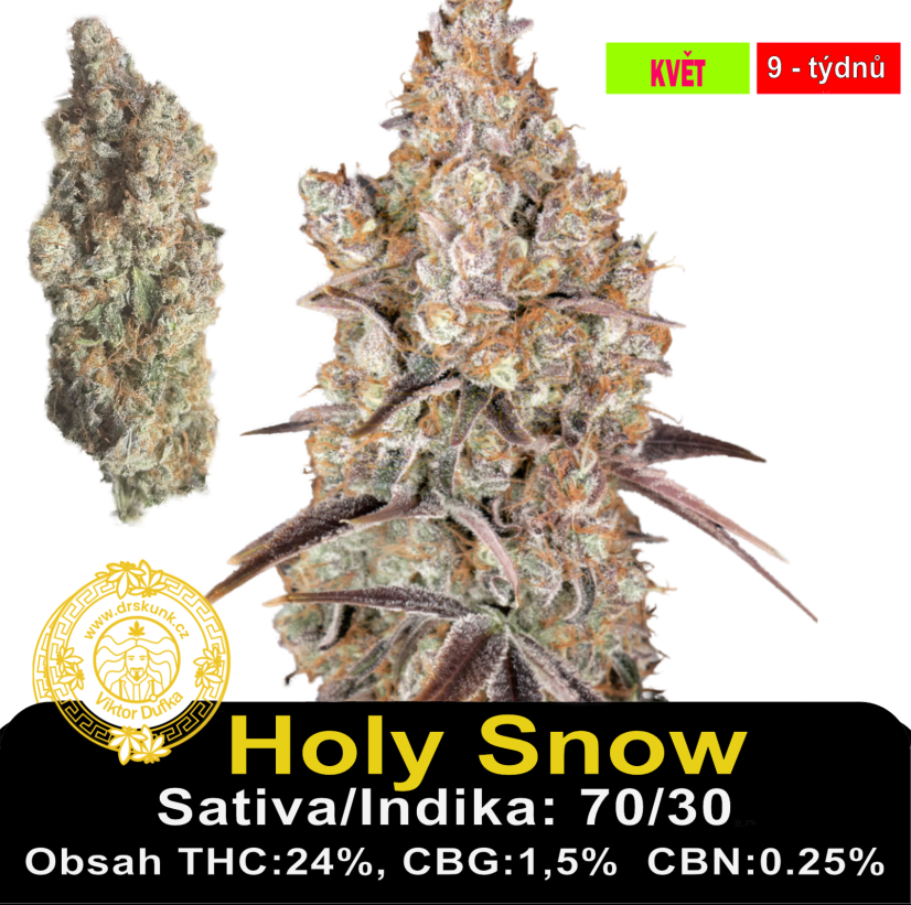 Holy Snow / Feminizováno