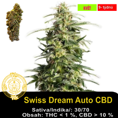 Swiss Dream Auto CBD / Feminizováno