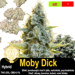Moby Dick / feminizovano