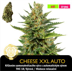 CHeese XXL Auto / Feminozováno