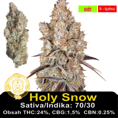 Holy Snow / Feminizováno