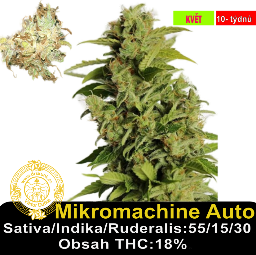 Mikromachine Auto / Feminizováno
