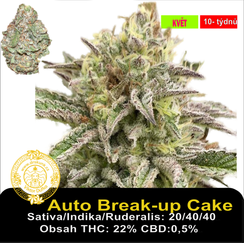 Auto Break-up Cake / Feminizováno