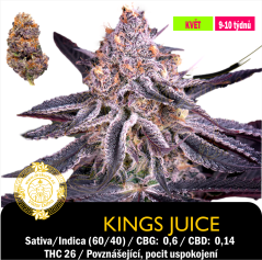 Kings Juice / Feminizováno