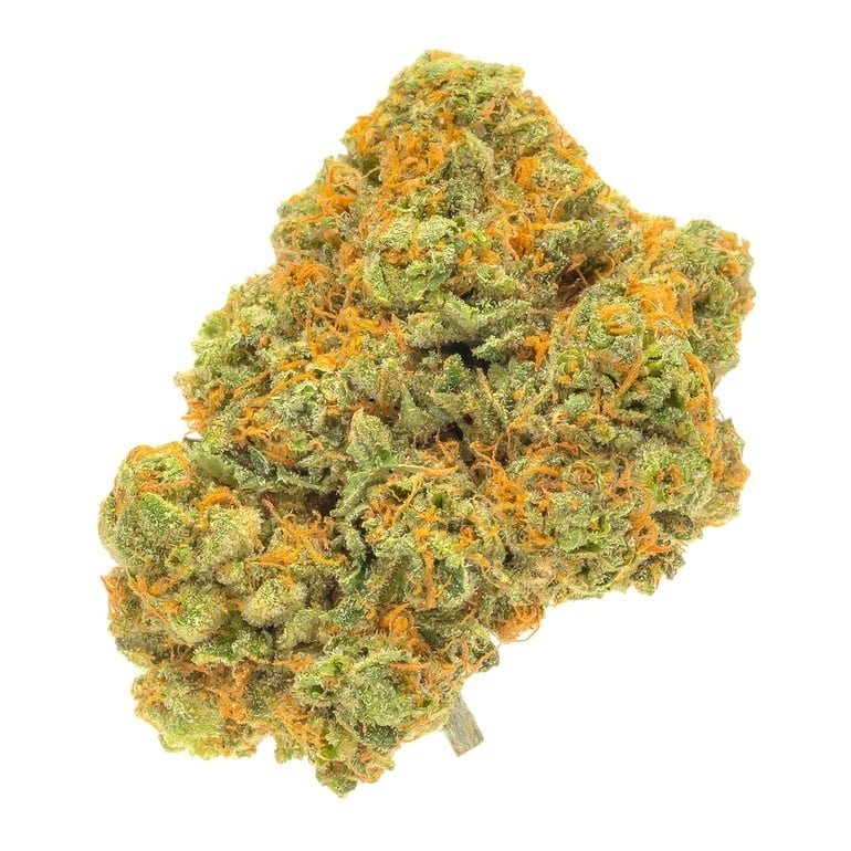 Chronic / feminizovano - semena, : 5