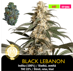 Black Lebanon - Feminizováno