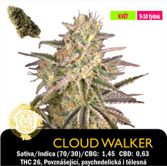 Cloud Walker / Feminizováno