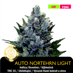 Auto Northern Light / Feminizované