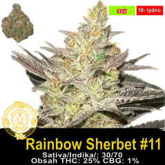Rainbow Sherbet #11/ Feminizováno