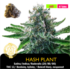 Hash Plant / Feminizováno