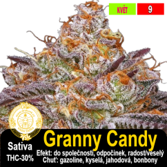 Granny Candy / feminizovano