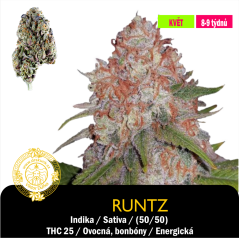 Runtz / Feminizováno