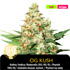 OG Kush / Feminizované