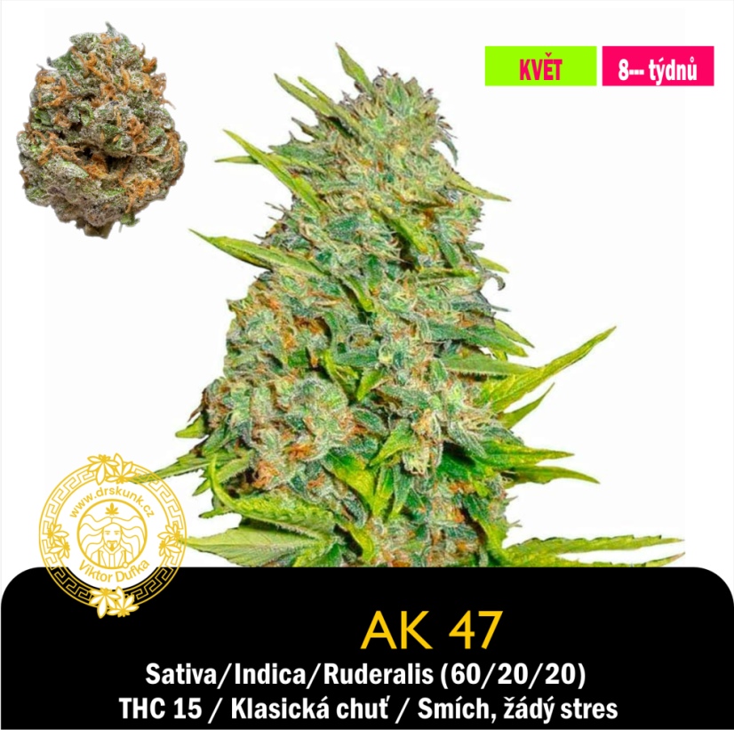 AK 47 / Feminizováno
