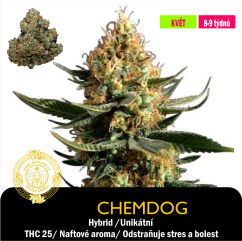 Chemdog / Feminizováno