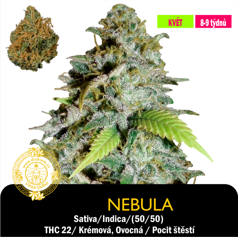 Nebula / Feminizováno
