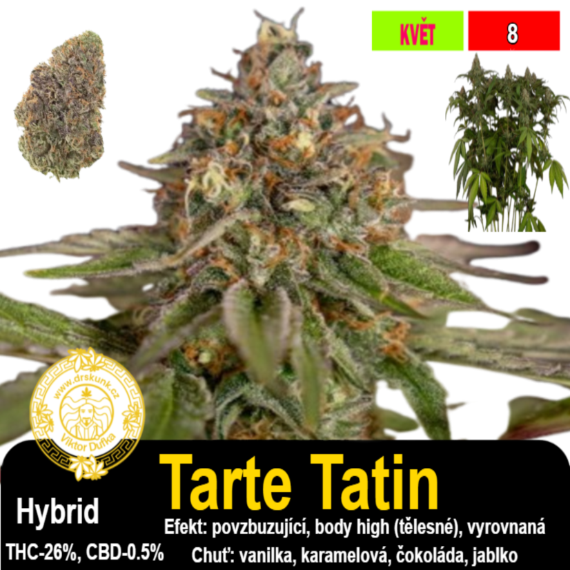 Tarte Tatin / feminizovano - semena, : 5