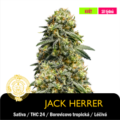 Jack Herer GHS / Feminizováno