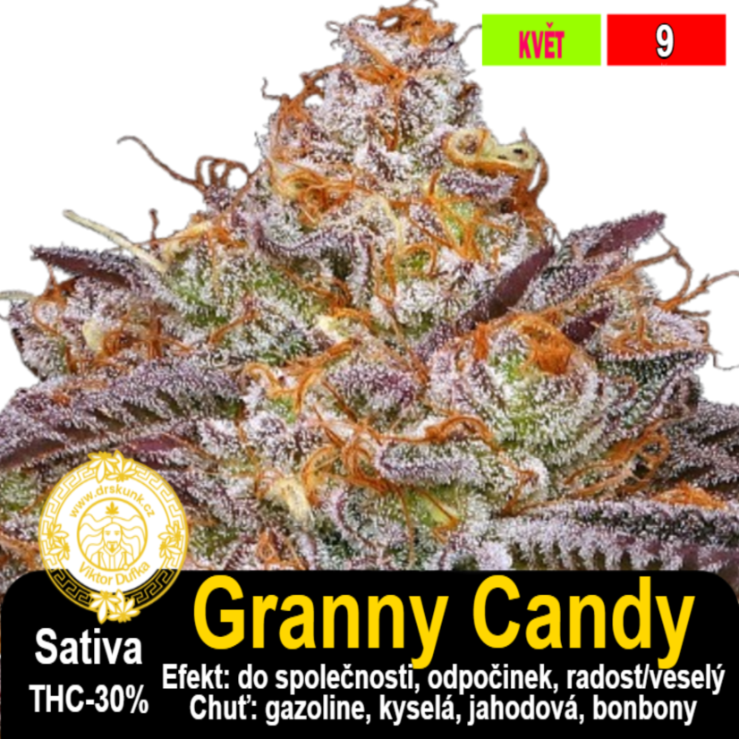Granny Candy / feminizovano - semena, : 5