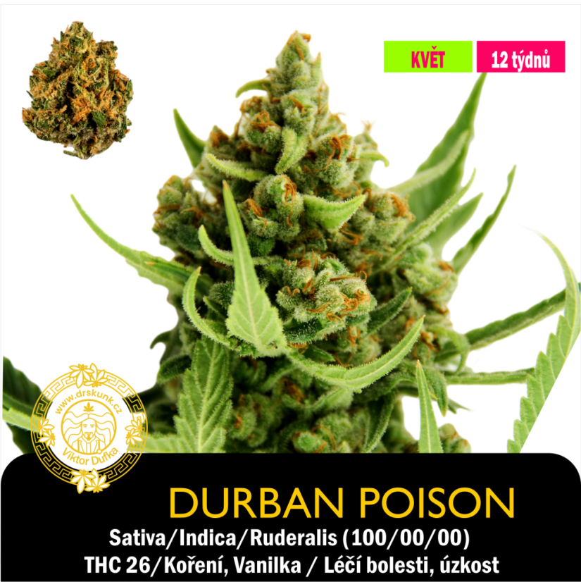 Durban Poison