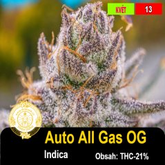 Auto All Gas OG / feminizovano
