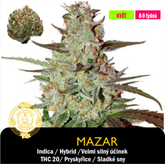 Mazar / Feminizováno