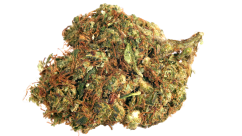 Silver Haze  H5CBD-HHX - Infůze