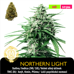 Northern Lights / Feminizováno