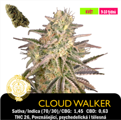 Cloud Walker / Feminizováno