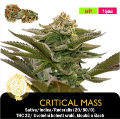 Critical Mass / Feminizované