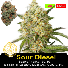 Sour Diesel / Feminizováno