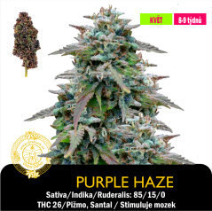 Purple Haze / Feminizováno