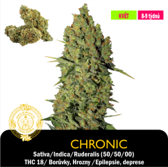 Chronic / feminizovano