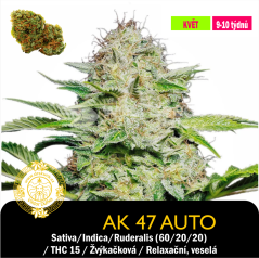 Auto Ak 47 / Feminizované