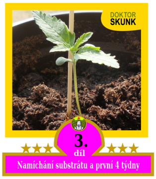 3) Namíchání substrátu a první 4 týdny rostliny.