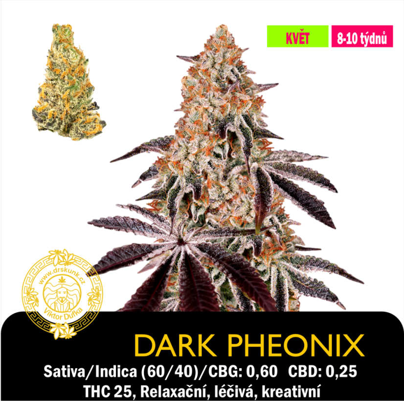 Dark Phoenix / Feminizované