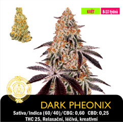Dark Phoenix / Feminizované