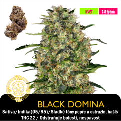 Black Domina / Feminizované