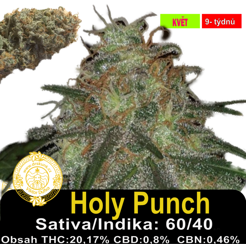 Holy Punch / Feminizováno