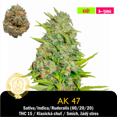 AK 47 / Feminizováno