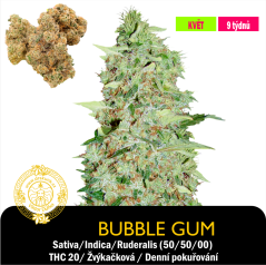 Bubble Gum / Feminizované